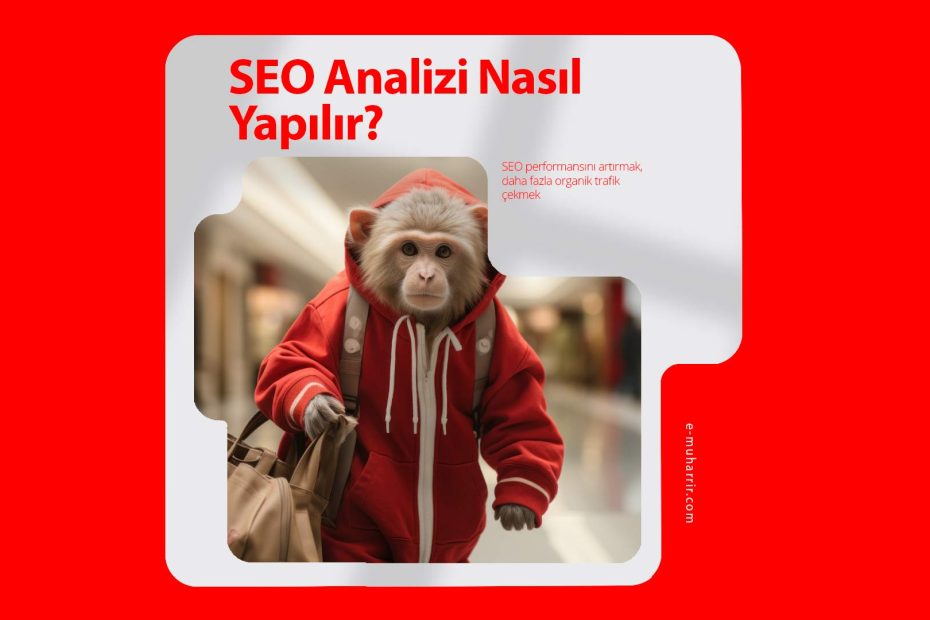 SEO Analizi Nasıl Yapılır?